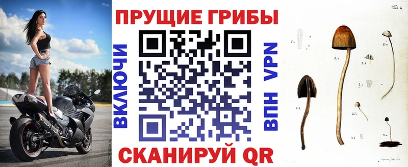 Галлюциногенные грибы Magic Shrooms Михайловка